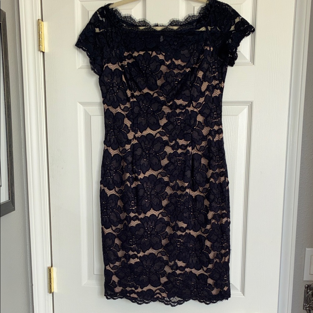 Adrianna Papell Dark Blue and Beige Lace Mini Dress